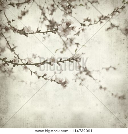 Textured Old Paper Background