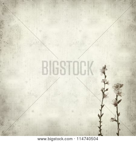 Textured Old Paper Background