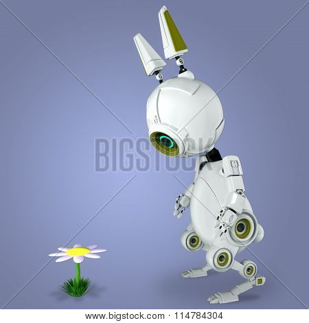 robotic rabbit surprised