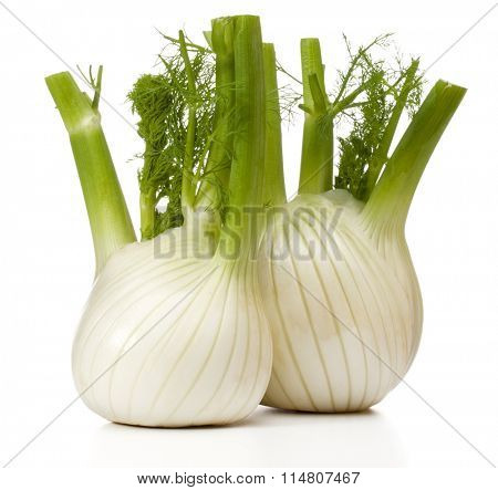 Fresh fennel bulb isolated on white background close up