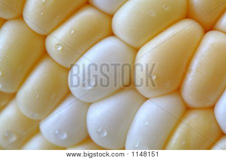 Close Up di pannocchia