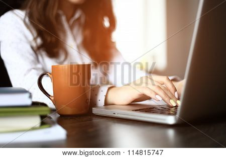 Closeup of a female hands busy typing on a laptop