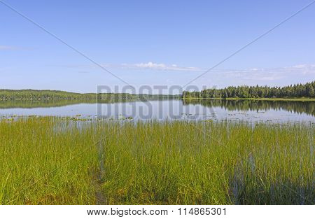 Blues Skies Over An Open Lake