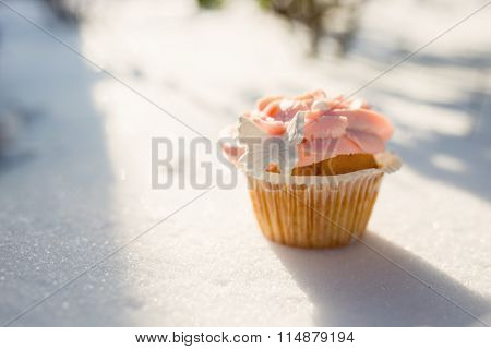 Outdoor Photo Of Cupcake Decorated With A Sugar Butterfly. Cupca