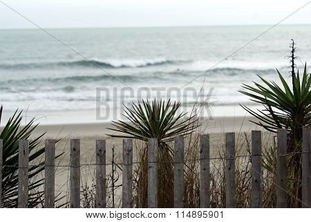 Dunes