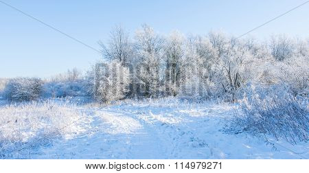 Cold clear winterday