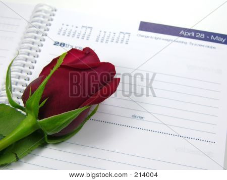 Rose a kalendář