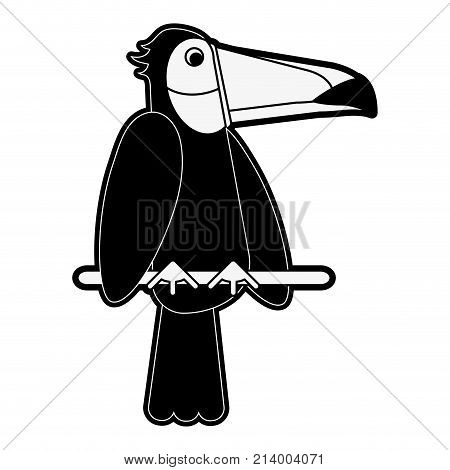 Tucan Bird Cartoon