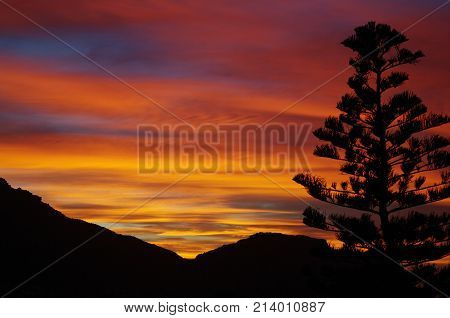 Fire in the Sky at Sunrise with lonely tree silhouette on black mountain