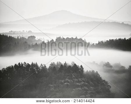 View Into Misty Valley. High Trees And Rocky Peaks Increased From Thick Fog.  The First Sun Rays