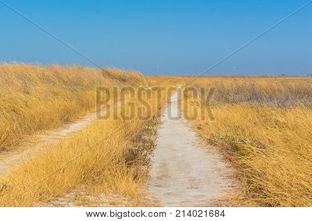 Steppe Road Ukraine Europe Ukrainian flag Blue Yellow