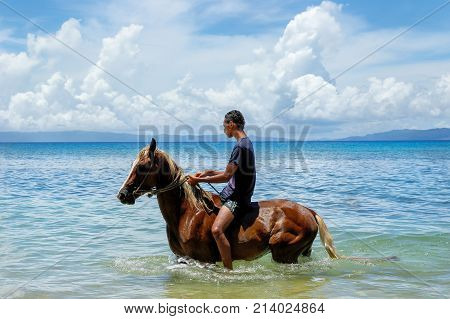 Taveuni, Fiji - November 23: Unidentified Man Rides A Horse On The Beach On November 23, 2013 On Tev