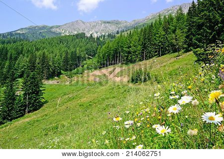 Landscape of Veitsch Austria in summer time