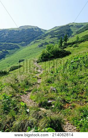 Tourist path in the mountain Veitsch Austria