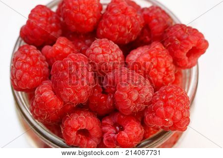 Raspberry basket / raspberry bush branch / growing raspberries