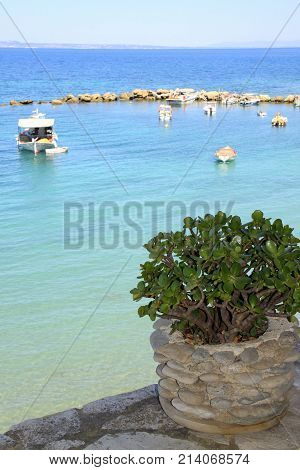 Green plant and blue sea coast line