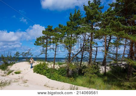 Man walking along the Baltic sea shore in Latvia. Sand dunes with pine trees and clouds. Typical Baltic beach landscape