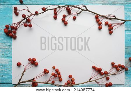 White background with branches with small apples,  close-up, Top view