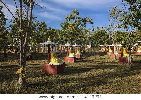 Buddha statues at the Bodhi Ta Htaung the religious center Monywa Myanmar (Burma)