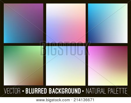 Set of abstract soft blurry background. Flower palette. Smooth colorful banner template collection