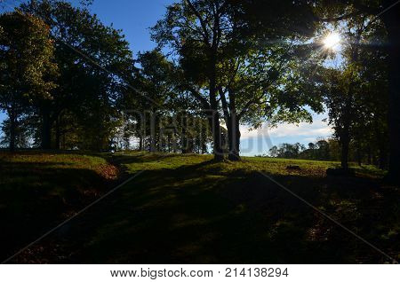 Beautiful grass trail in the shade with the sun shinning