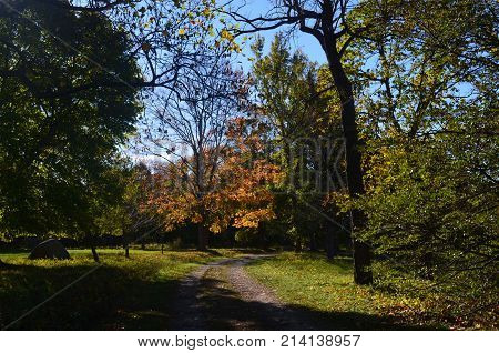 Beautiful fall train into the woods of Worlds end in Hingham