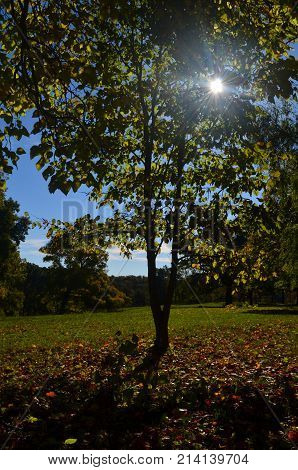 Beautiful fall foliage at the worlds end park in Massachusetts