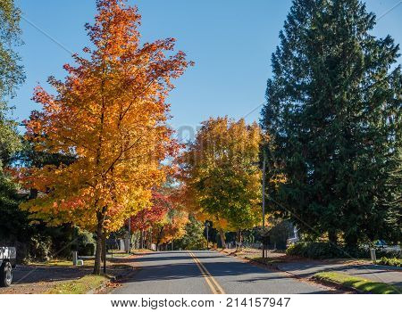 A street in Burien Washington leads toward Autumn trees.