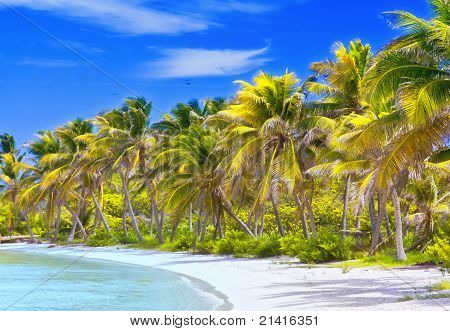 Schönen tropischen Strand
