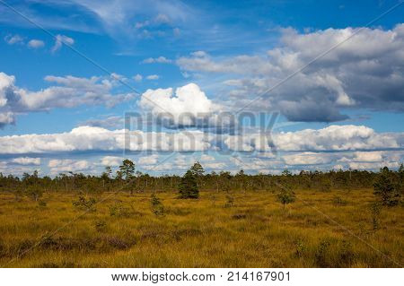 Vast Beautiful Grass Field