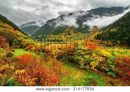 Fantastic View Of Mountains In Fog And Colorful Fall Forest