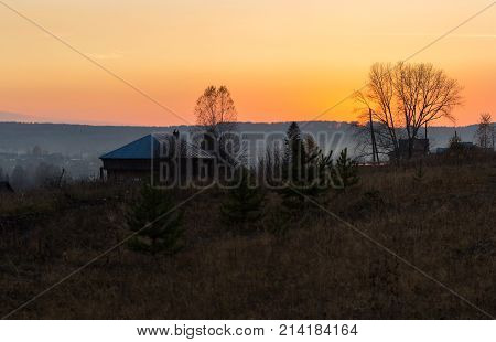 Tree without leaves in a field at sunset. Ural, Russia.