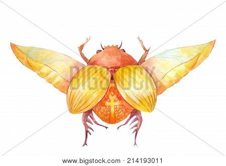 Scarab beetle. Egyptian symbol of the sun. Watercolor illustration on white background