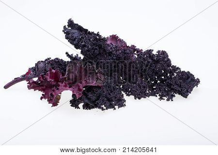 Freshly purple curly kale cabbage isolated on white background