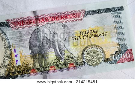 Nepalese Banknotes 1000 Rupees