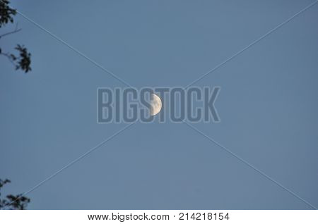 Half moon in the cloudless day sky.