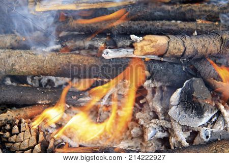 Bonfire in the forest ready for barbeque