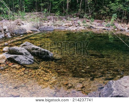 Shoal of tropical fishes in natural pond of Mu Koh Chang National Park on the way to the Khlong Phlu waterfall, Chang island, Thailand. Soft Focus.