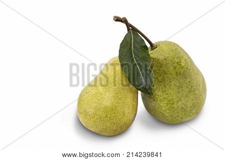 Two ripe yellow pears with green leaf. Presented on a white background.