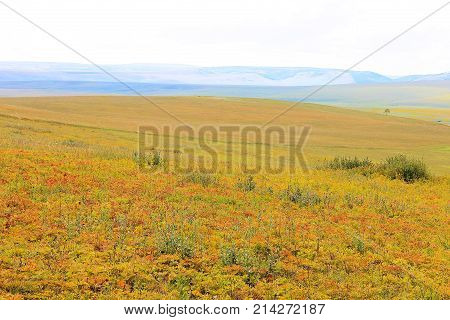 A beautiful landscape uncharted autumn: a bright clearing with green, yellow, red herbs, mountains and sky.
