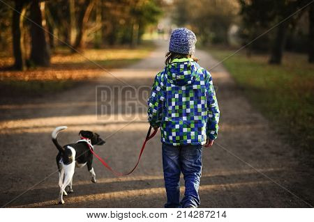 Boy 10-11 years walking the dog in autumn Park. He is holding the leash of a black-and-white cute dog.