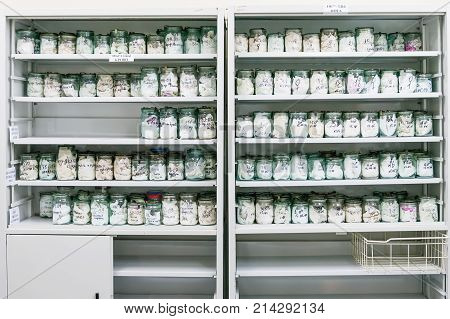 MOSCOW RUSSIA - June 24 2009. Glass jars with rags inside - samples of human blood and sweat. Shelves with material evidences in laboratory of examination human olfactory traces.