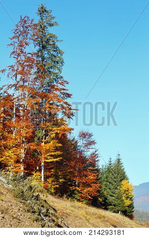 Morning Autumn Carpathians Landscape.