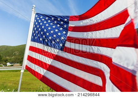 Flag of the United States of America (American flag or The Stars and Stripes Old Glory The Star-Spangled Banner) waving in the wind against summer forest landscape in sunny day.