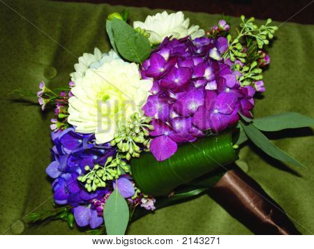 Flores