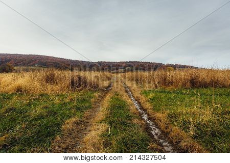 A muddy primitive dirt road that appears less traveled disappears into the horizon.