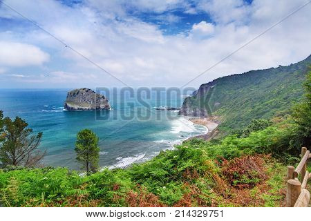 View of the sea from the high coast. The coast has grown with a fern and other plants. In the sea near the coast the certain rock. Summer day white clouds