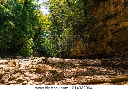 Forest rocky floor and steep rocky wall in the Agura gorge in sunny summer day Sochi Russia