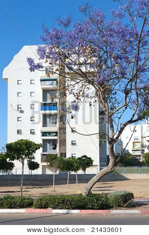 เมือง Ashkelon ในอิสราเอล
