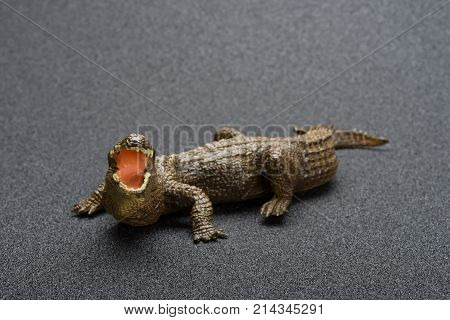 aligator toy on a dark background horizontal composition